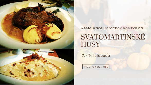 svatomartinské husy (1)